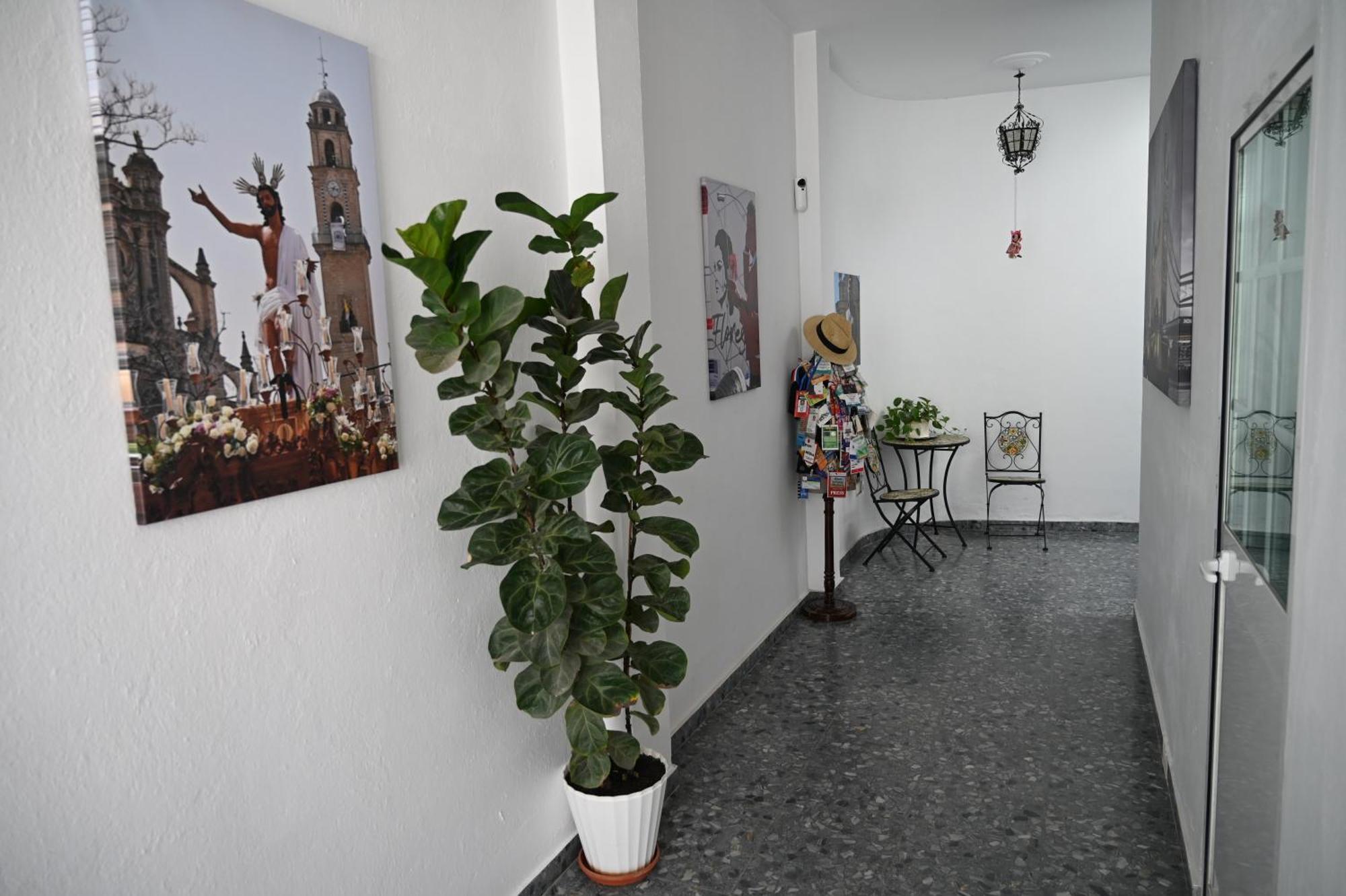 Bienvenidos A San Miguel Apartment Jerez de la Frontera Exterior photo